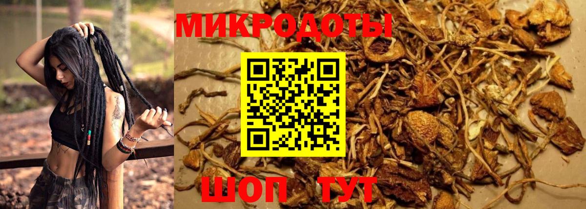 Псилоцибиновые грибы мицелий Кстово