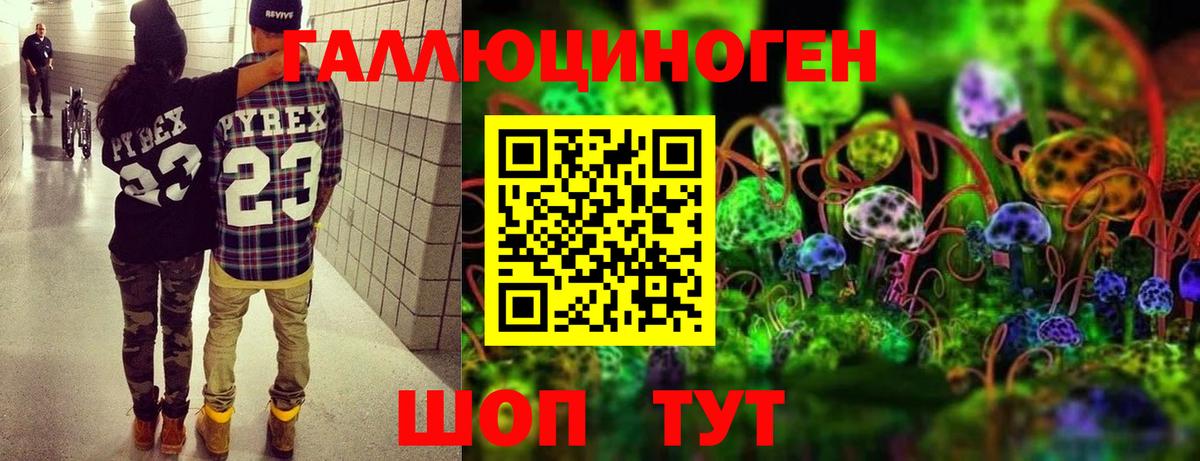 Галлюциногенные грибы Psilocybe  сколько стоит  Кстово  Вход с VPN 